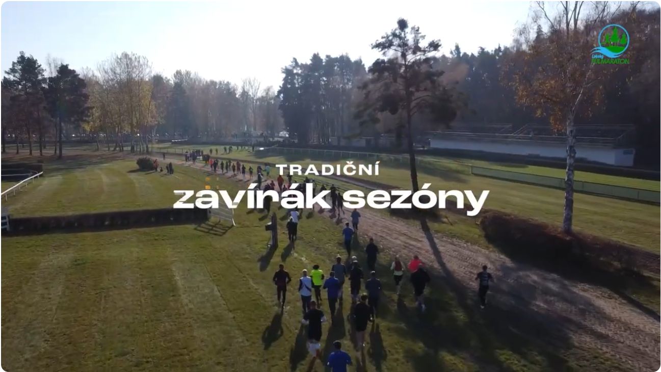 lab2024-video
